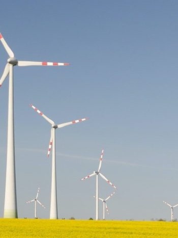 Business Case Studies: Sustainability cover